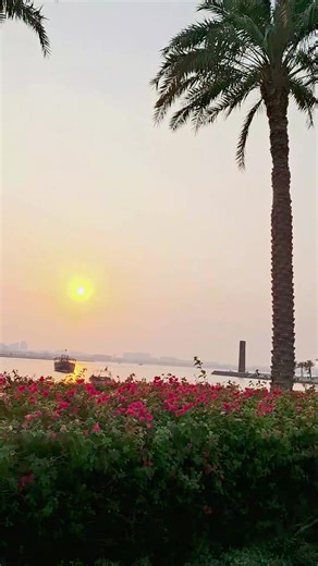 покатульки,покатушки,покатушечки та-та 😄🙃 гулянки в выходной с @Queen