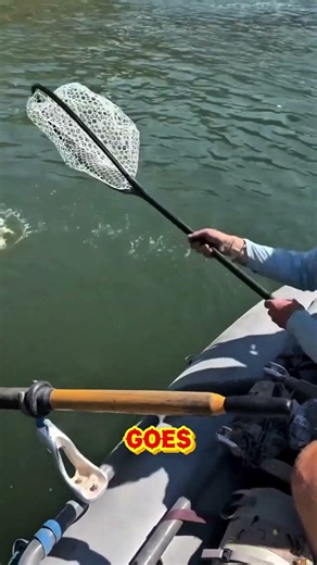 Snake Trick Could Save