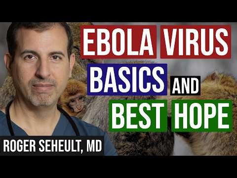 Ebola Virus BDBV Fundamentals and Best Hope for Treatment