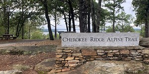 Hiking with Hailey: Exploring the CRATA trail system