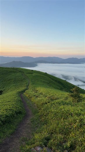 下蒜山 朝日と雲海を見ながらの稜線歩き #蒜山 #登山 #日の出 #雲海