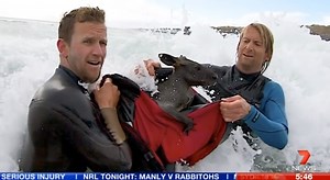 Two Courageous Surfers Save Drowning Wallaby's Life | The Inertia