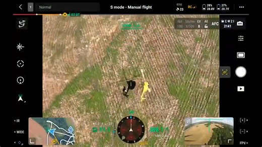 11K views · 180 reactions | Ed the Zebra's saga: according to his owners. Ed is safe now, but his family explains how it started, what was going on during his week on the run and how it all finally came to an end | NC5_RebeccaSchleicher | Facebook