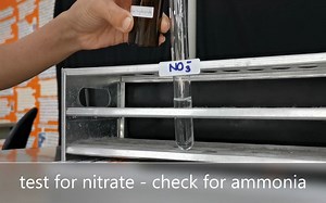 Experiment-Test for anions 阴离子离子检测
