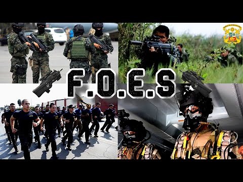 Fuerza de operaciones especiales (F.O.E.S) de la Marina de Guerra del Perú.