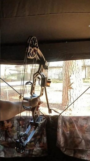 Squirrel hunting with a compound bow that shoots ball bearings