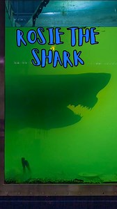 23K views · 850 reactions | At least Rosie had a happy ending 梁 | Jesse Love | Facebook