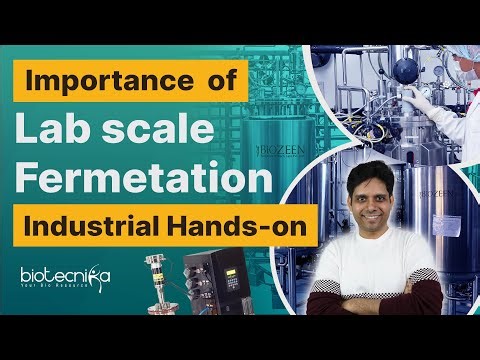 Industrial Hands-On Training in LAB-SCALE FERMENTATION - Importance