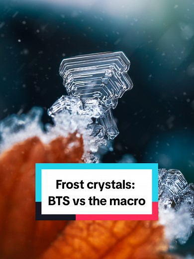 Have you ever seen hexagonal frost crystals this close? ❄️ My macro photography setup: Sony a7 IV & Sony FE 100mm F2.8 Macro GM OSS Edited with: Lightroom, Photoshop #macrophotography #naturephotography #flowerphotography #SonyAlpha #MadeWithLightroom