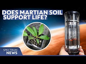 Why growing plants on Mars is harder than it sounds