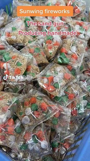 sunwing_yanwu on TikTok