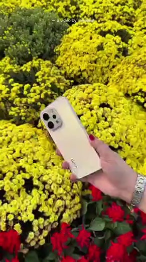 😍 Vivo V70 Camera Features 😍 ✅ 50 MP ZEISS Super Telephoto Camera ✅ Film Camera Mode ✅ Stage Mode ✅ ZEISS Multi Focal ✅ AI Visual ✅ Basic and Personalized Styles ✅ ZEISS Portrait Master Come and Pre-order yours now🤩❤️ Get an exclusive freebies of VIP Cards, Vivo Buds Air3, ₱2,000 Discount. Available in Home Credit and Credit Card Installment ✅ Visit us here at Vivo Kiosk Robinson Ilocos ( Infront of Silicon Valley ) Feel free to message us here our Facebook page #RealCustomer #SanNicolasIloco