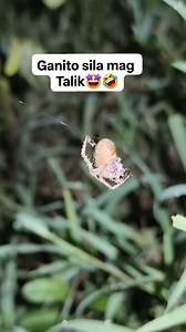 Solid yung tama 🤩🤣 #fbreelsfypシ゚ #fbvirals #buhayprobinsya | Kalitar Vlog