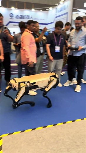 AI Robot Dog Security #Chasing195 #DevenD121D #China #CantonFair