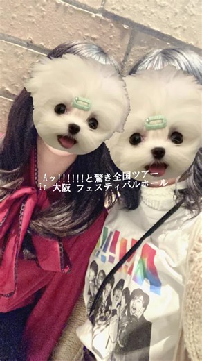 3年ぶりのAぇコン💚 席が良すぎて肉眼で見れた👀✨ まさやが20歳超えてからのコンサートは初めてだったから大人になったまさや見て感動した😭👏✨ ファンサは貰えなかったけどリチャとお手振りできてよかった💛 幸せな時間と感動をありがとう 💙❤️💛💜🧡💚 #aえgroup #正門良規 #末澤誠也 #草間リチャード敬太 #小島健 #福本大晴 #佐野晶哉 #佐野晶哉担 #佐野晶哉担と繋がりたい #aぇgroup担と繋がりたい #さのすえ参戦 #大阪初日参戦