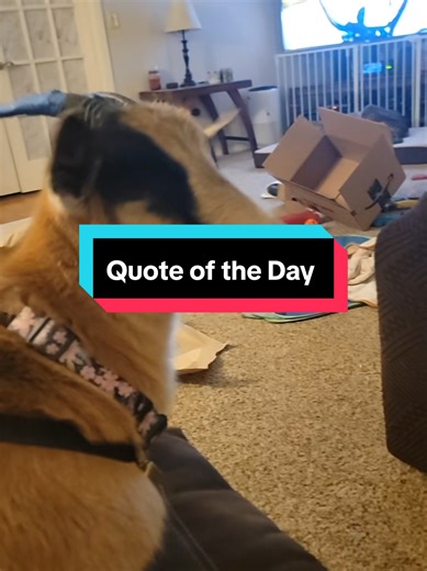 Happy Monday! Here's your goat quote of the Day #quotes #quote #quoteoftheday #goats #goat