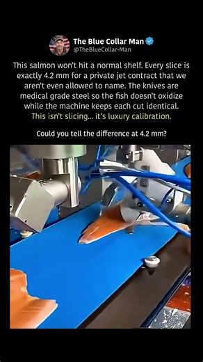 SALMON SLICING MACHINE