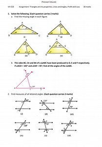 Precision EducareVII ICSEAssignment: Triangles and its proper... | Filo