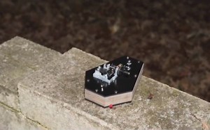 The Supernatural State – Hidden Lonoke County Cemetery