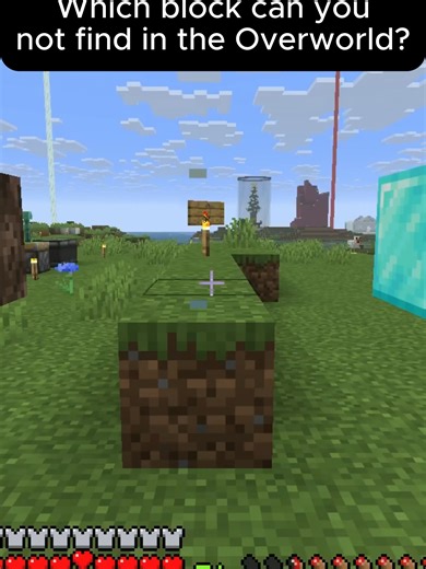 What block doesn't fit? #minecraft #gaming #viral #parody #helpful Im glad loot tables are tied to seeds, as I would have just used all my luck on a creative world if not. Also I wasnt dying or anything, just had school assessments I had lock in for.