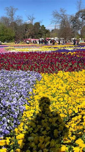 Travel Highlights: Memorable Moments on This Day