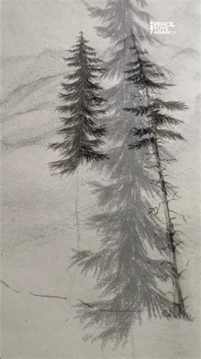 Tree sketching with charcoal
