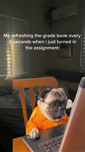 😵‍💫 #student #school #summer #summerschool #studytool #memes