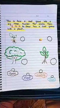 EVS worksheet For class 1st