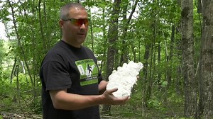 A Fayette County man claims to photograph bigfoot - WOAY-TV