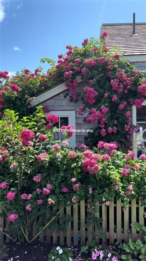 Embrace the Anticipation of Nantucket Summer