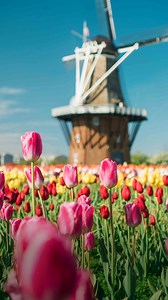 Enjoy the freshest summer festivals in Pure Michigan. | Pure Michigan