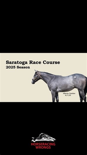 From June 2nd to September 20th, 21 horses were killed at Saratoga Race Course — 21 lives gone in just one season. Their names, their faces, and their suffering must not be forgotten. Some 1,800 of these beautiful, majestic, intelligent animals are sacrificed every year in the US — for nothing more than $2 bets and frivolous entertainment. End this cruelty. 🚫🏇 #HorseracingWrongs #EndAnimalCruelty #SaratogaRaceCourse #HorseracingKills | Horseracing Wrongs