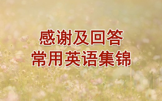 表达感谢及回答常用的英语集锦（中英字幕）