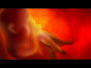 Human Physiology - Hormonal Changes during Pregnancy