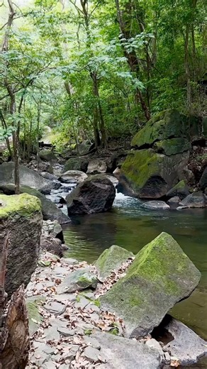 1.1K views · 30 reactions | Embracing the essence of Water Day at Rio Perdido, our 1,500-acre private canyon reserve. Nature’s masterpiece, the river carved a 160 ft deep gorge over thousands of years, now fueled by geothermal waters from volcanic activity. Plunge yourself in the extraordinary, a completely natural hot mineral river unlike any other on the planet. | Rio Perdido | Facebook