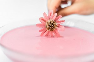 How To Dye Sola Wood Flowers Using Acrylic Paint