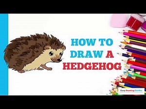 How to Draw a Hedgehog in a Few Easy Steps: Drawing Tutorial for Beginner Artists