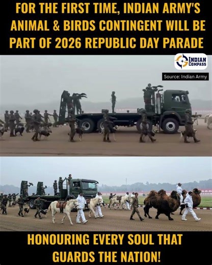 Meet the Indian Army's Remount & Veterinary Corps (RVC)!