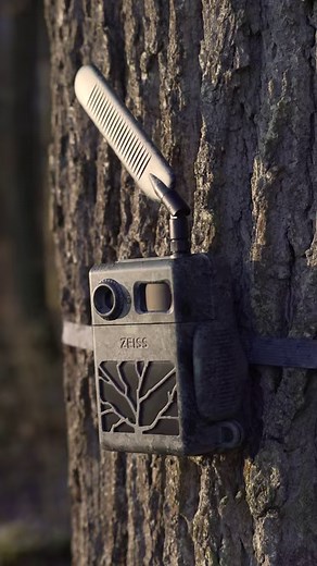 1.8K views · 21 reactions |  With the ZEISS Secacam, every flutter is yours to see. Boasting a 60-degree view, you won't miss a single wingbeat. Explore the Secacam shop via the link in our bio. #ZEISSSecacam #Birdwatching #NaturePhotography ️ | ZEISS Birding | Facebook