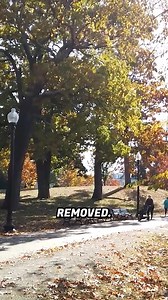 66K views · 570 reactions | Ron Gives on Reels | Facebook