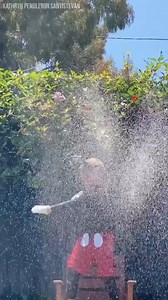 2M views · 2.1K reactions | IMPRESSIVE! One California boy has been missing Disneyland, but put all that energy into this "Fantasmic!" performance right in his backyard. He had some help behind the scenes though...which is revealed at the very end.  (Wait for it!) STORY: https://bit.ly/2WgFqid | FOX 13 News - Tampa Bay | Facebook