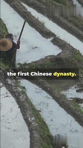 The Yellow River: Birthplace of Chinese Civilization | Ancient History