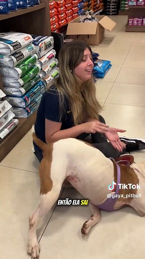 Tudo Sobre o Pitbull: Filhotes e Cuidados Essenciais