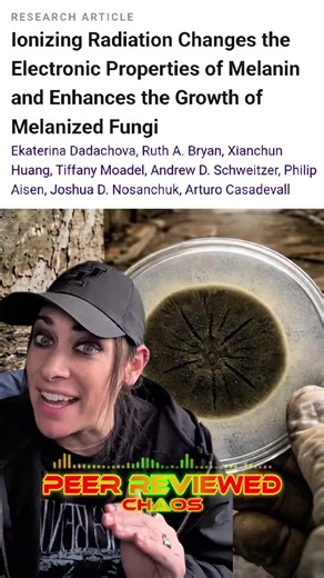You’ve heard of Chernobyl as a nuclear nightmare — but there’s an organism thriving in that radiation. In Ionizing Radiation Changes the Electronic Properties of Melanin and Enhances the Growth of Melanized Fungi (PNAS, 2007), researchers showed that certain black fungi don’t just survive radiation — they use it. Radiation alters melanin’s electronic structure in a way that boosts metabolism, turning a lethal environment into a usable energy source. We’re breaking down that paper chaos-style, be