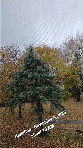 The Second Waltz ( André Rieu ): Windy, Snowfall, Cold .