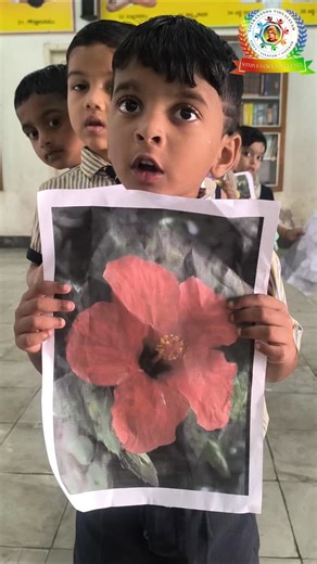 Vivekananda Vidyalayam on Instagram: "✨Our jr-kg flowers activity..... VIVEKANANDA VIDYALAYAM OLD MANGALAGIRI.....🏫📚 #study #active #flowers #knowledge"