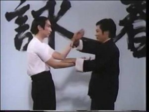 Wing Chun Basic Techniques part 4 Shaolin Kung Fu and Ip Man Chinese Fighting Art
