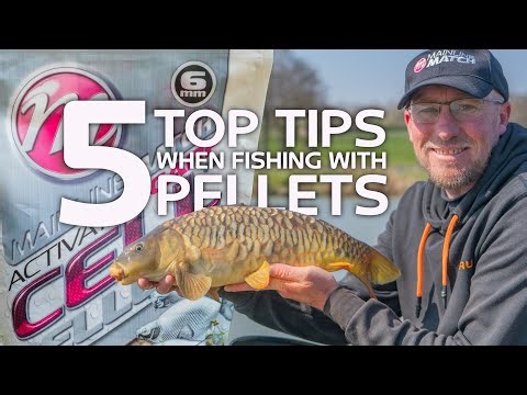 5 Top Tips when Fishing with Pellets: Catch More Carp on Commercials
