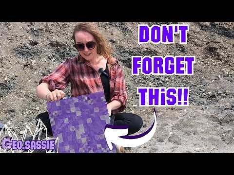 What You Need For Fossil Hunting: Beginners Guide