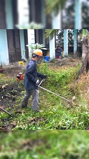Satisfying Yard Cleanup Brings New Life to a Long Ignored Home #reels #clean #cleaning #cleanup #viral | CleanUp Crew